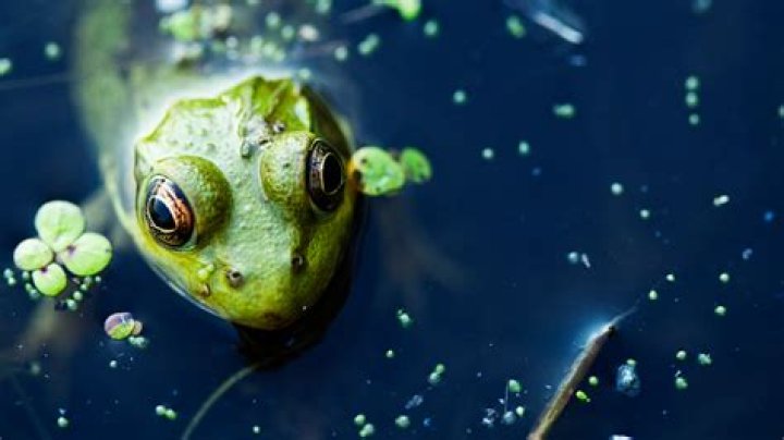 Sustainability & Environment - School of Professional & Continuing Studies