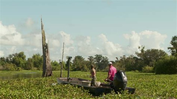 Swamp People sees Bruce sentimental, Frenchy’s good wood and Troy’s ‘big gators only’ policy