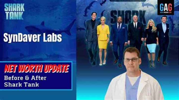 Syndaver Labs Net Worth 2024
