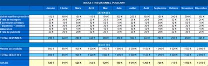 Tableau recette dépense auto-entrepreneur Excel 2024, gratuit !