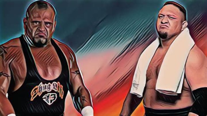 Taz vs Samoa Joe | WrestleZone Forums