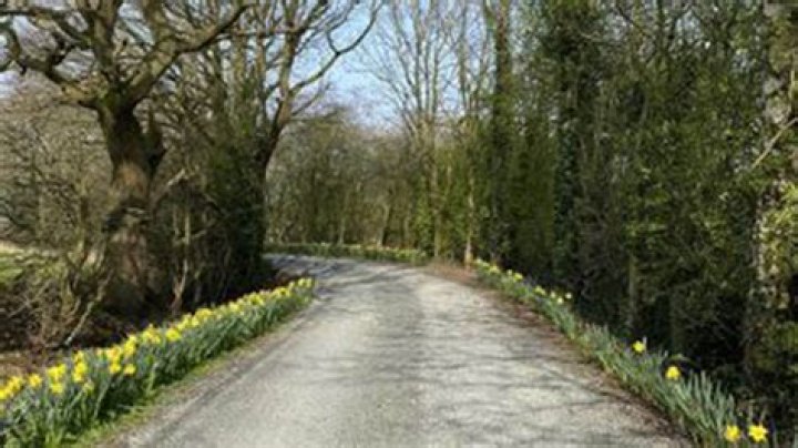 Teenage girl found dead from serious injuries in Culcheth Linear Park in Warrington as police launch urgent appeal
