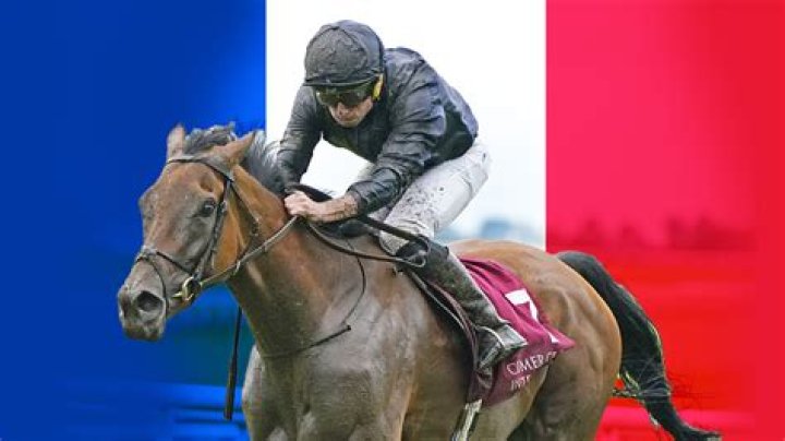 Templegate's Arc weekend day one tips and complete punting guide to Saturday at Longchamp