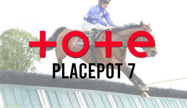 Templegate's Tote Placepot tips with £150,000 guaranteed at Cheltenham on Saturday