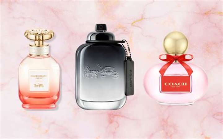The 10 Best Coach Perfumes to Discover Your Signature Scent!