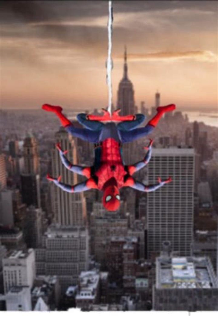 The Anatomically Correct Spider-Man