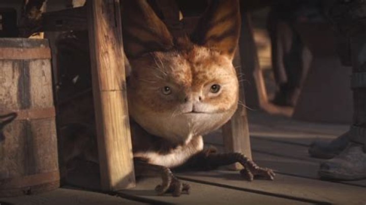 The Cat-Like Tooka Creatures Explained