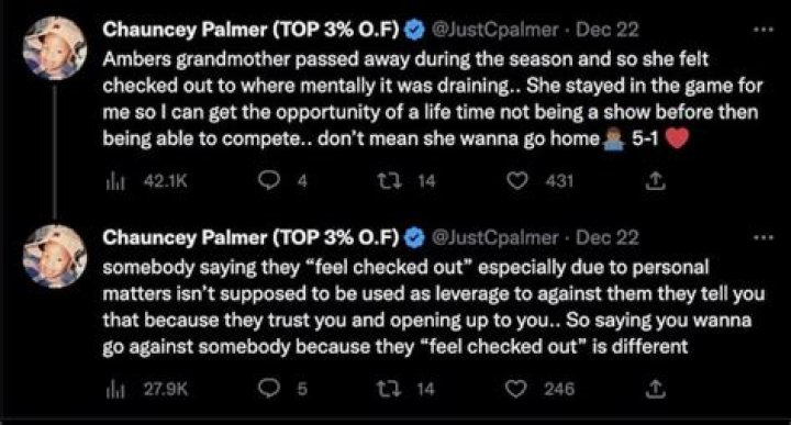 The Challenge: Chauncey Palmer praises girlfriend Amber Borzotra for staying on Ride or Dies amid tough loss