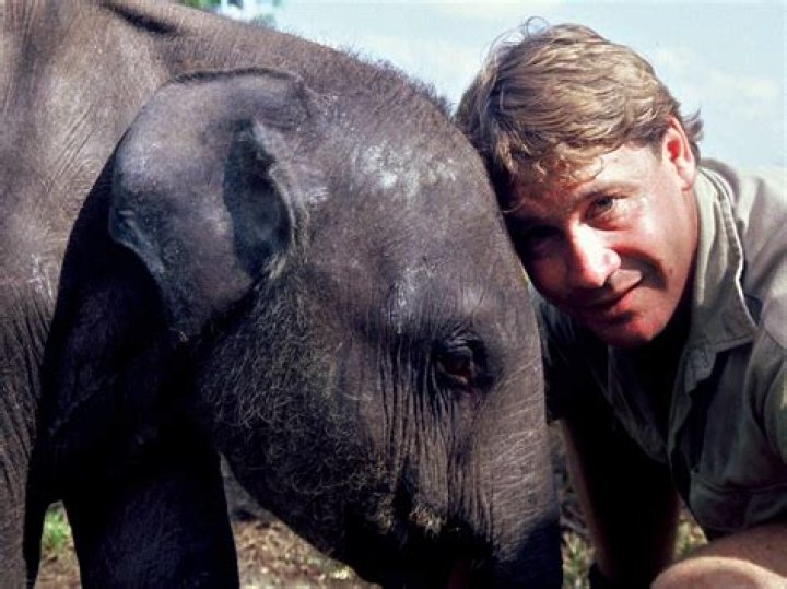 The Devastating Death of ‘The Crocodile Hunter’