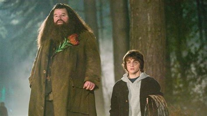 The Hagrid Line That Would Have Changed The Harry Potter Movies