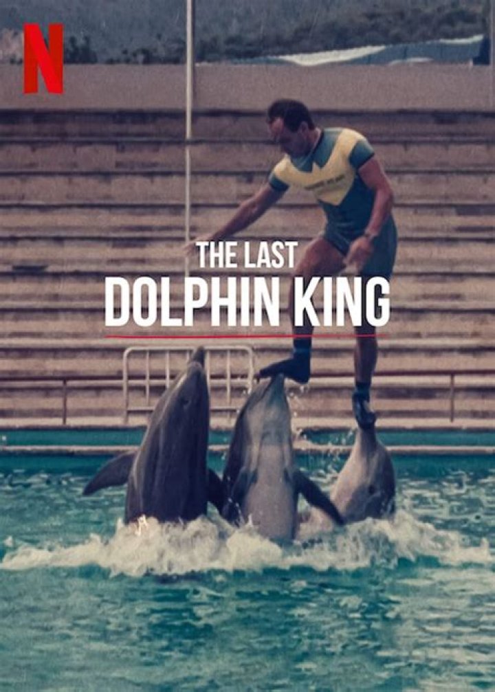 The Last Dolphin King: Plot, Premiere Date, Cast, Trailer, Filming Location, Review, Where to Watch & More