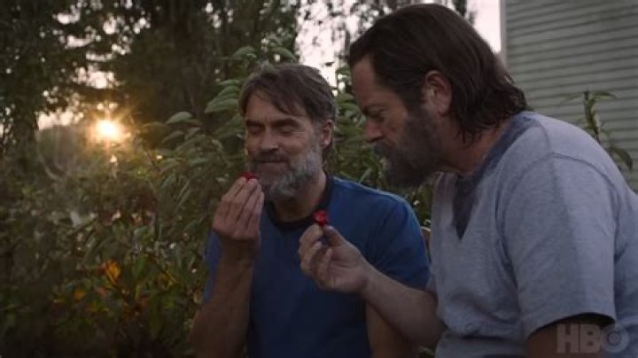 The Last Of Us Starring Danny DeVito's Frank From It's Always Sunny Will Kill You