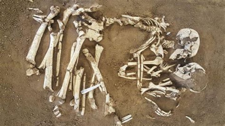 The Lovers of Valdaro – A Double Burial From Neolithic Italy