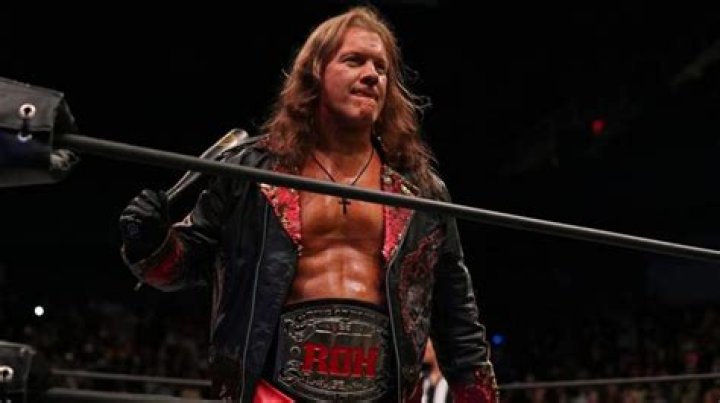 The Many Looks Of Chris Jericho