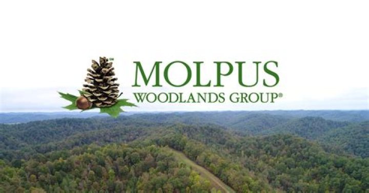 
The MoLPus Woodlands Group, LLC (Jackson)
