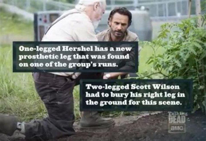 The Story Of Hershel’s New Leg