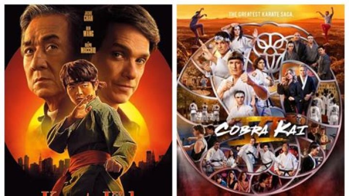 The Surprising Origin Behind The Karate Kid And Cobra Kai