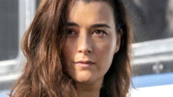 The Transformation Of Cote De Pablo From Childhood To NCIS