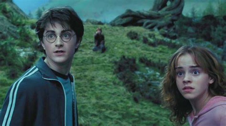 The Unsung Harry Potter Hero You Never Saw In The Movies