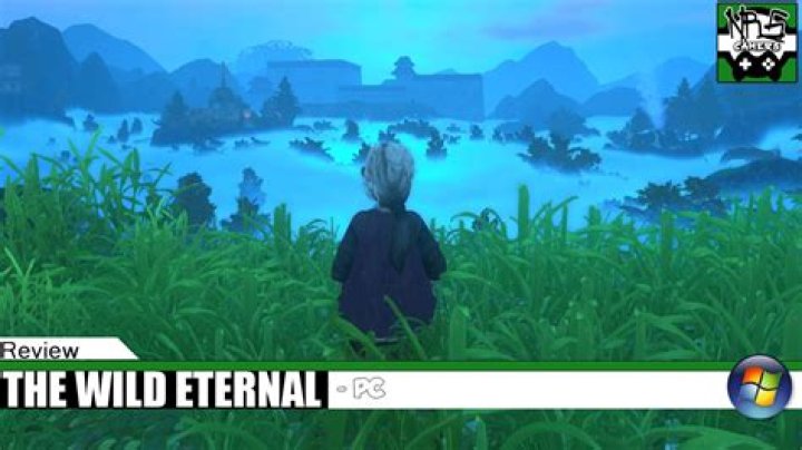 The Wild Eternal Review | The Nerd Stash