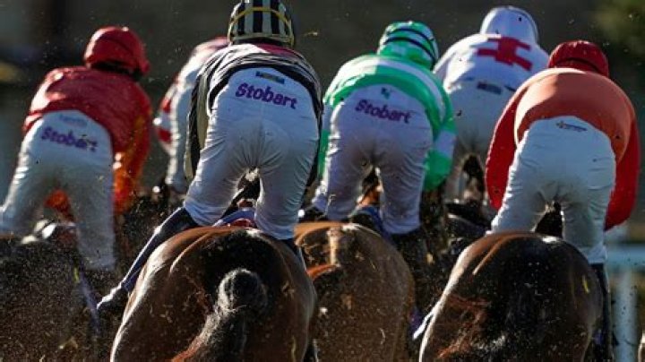 The X-rated horse names racing chiefs banned... and the ones that slipped through the net
