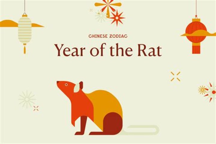 The Year of the Rat