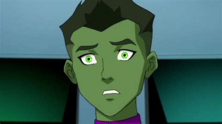 Things That Only Adults Notice In Young Justice