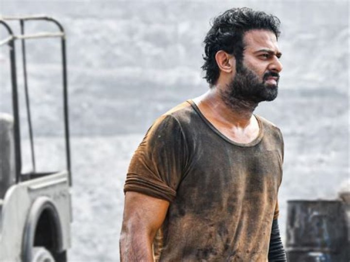 This film earned Rs 800 crore before release, it's not Jawan, Pathaan, Adipurush, Baahubali, RRR, Dangal, KGF2, Pushpa