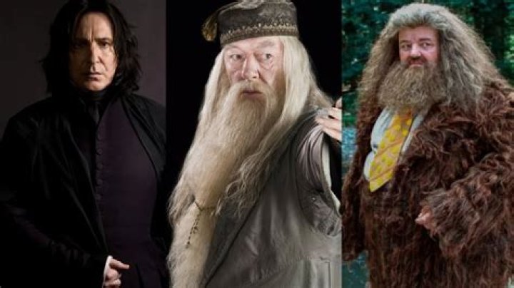 This Is Who Robin Williams Wanted To Play In The Harry Potter Series