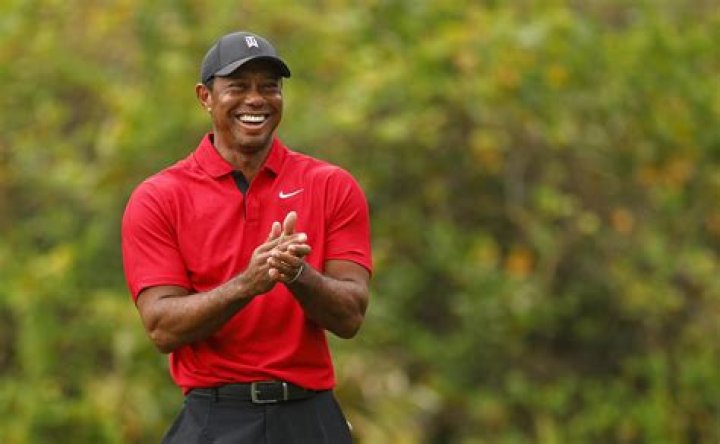 
Thomas Woods
Net Worth
