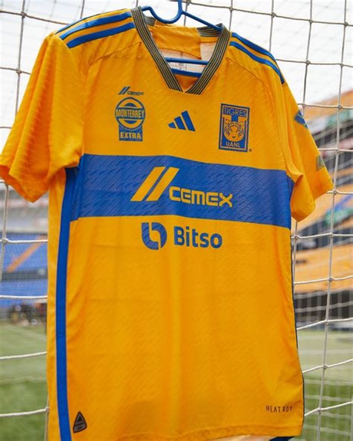 Tigres UANL - Transfers 23/24