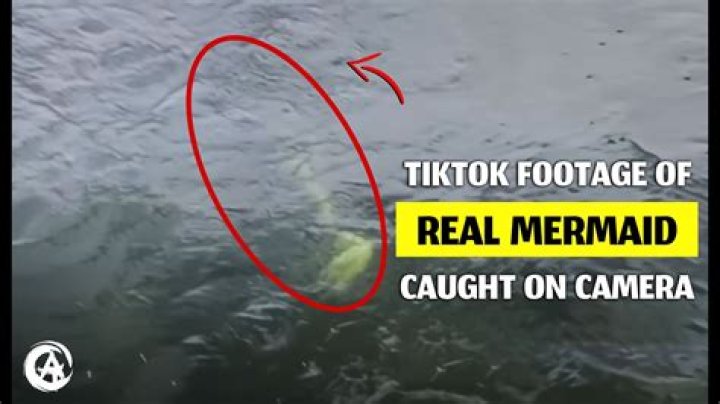 TikTok fisherman .sauce.90 claims he's seen real mermaids