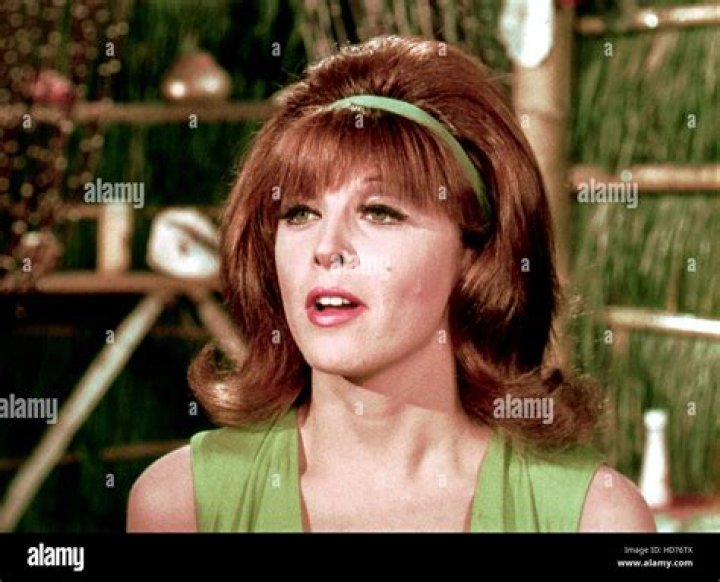 Tina Louise Net Worth