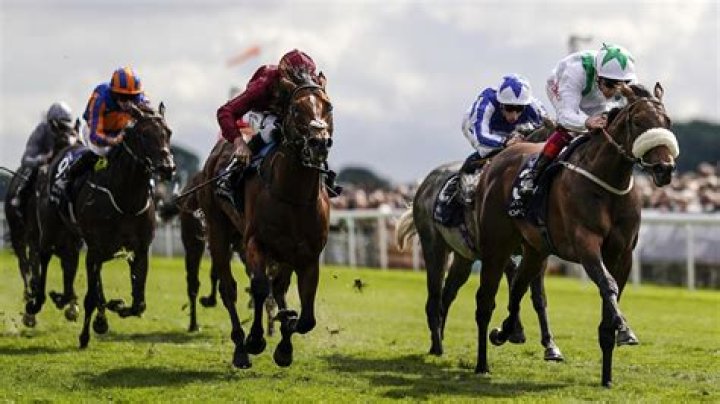 Today's York racing results: Full results from York on ITV
