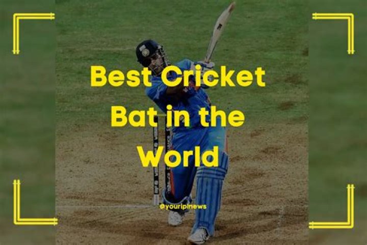 Top 13 Best Cricket Bats in the World [2023 Update]