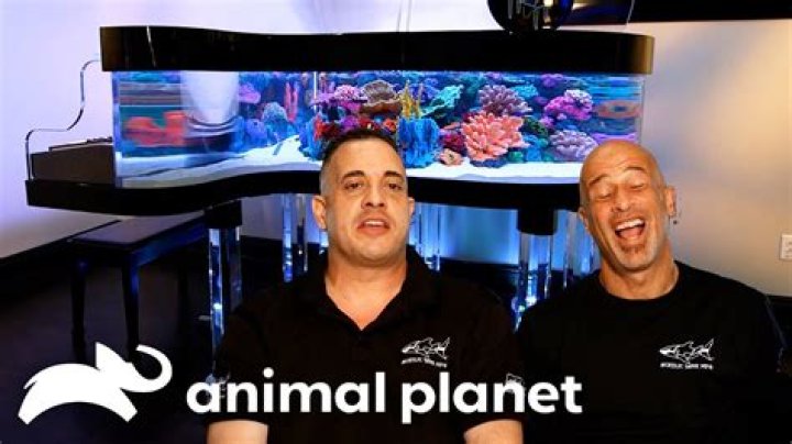 Ty Dolla Sign Stars on Animal Planet's 'Tanked'