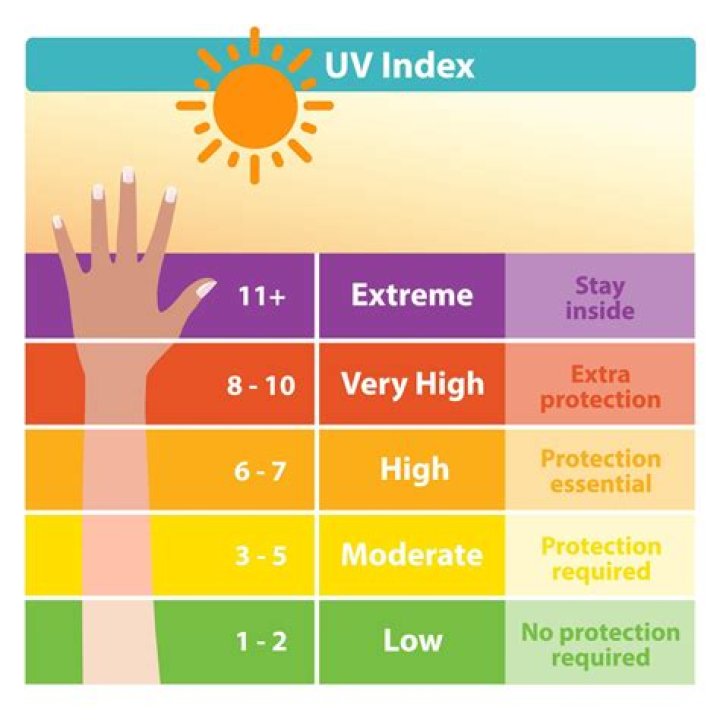 Understanding Chatum Tanning Height: A Comprehensive Guide