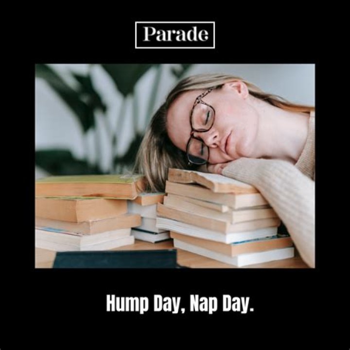 Understanding Hump Day Memes: The Midweek Humor Phenomenon