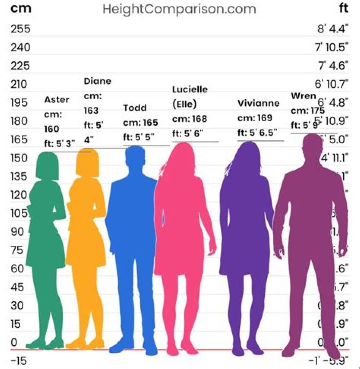 Understanding Matt Friend's Height: A Comprehensive Look