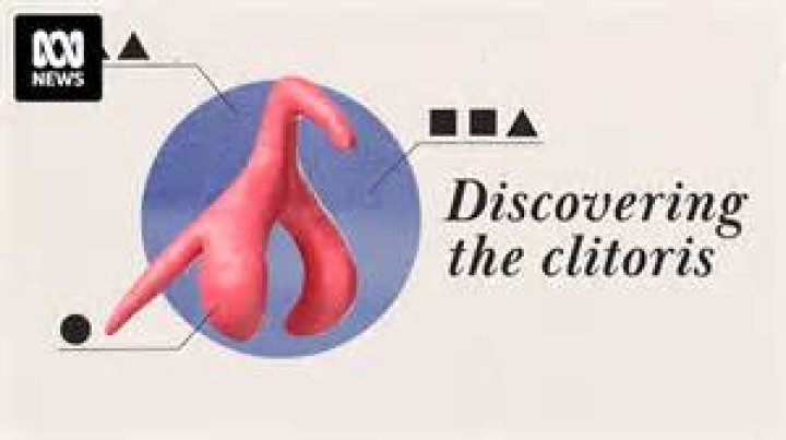 Understanding The Clitoris - AskMen