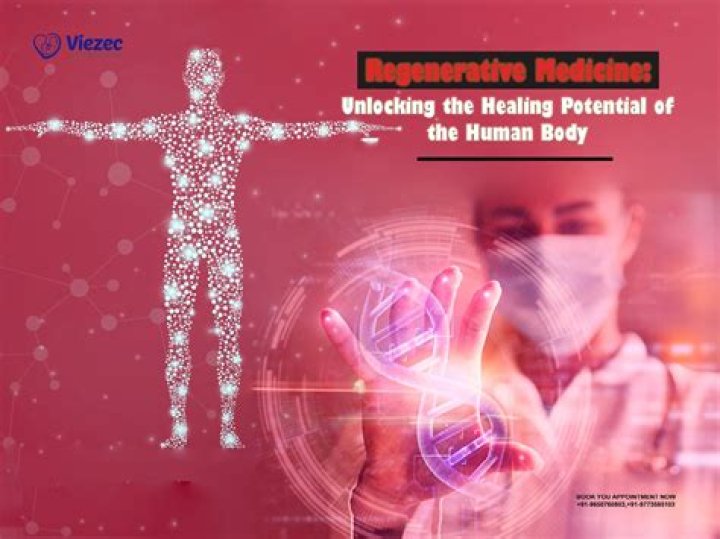 Understanding ViralMMS: The Revolutionary Approach To Health And Wellness