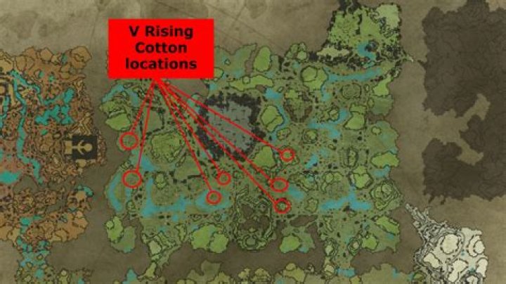 V Rising: Where to Find Cotton