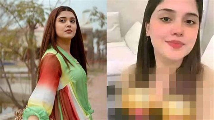 Viral Punjabi Videos: The Phenomenon Taking Over Social Media