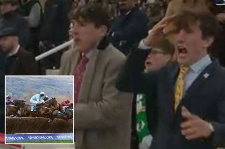 Watch agonising moment owners of Mahler Mission see heartbreaking fall at second last while CRUISING to Cheltenham win
