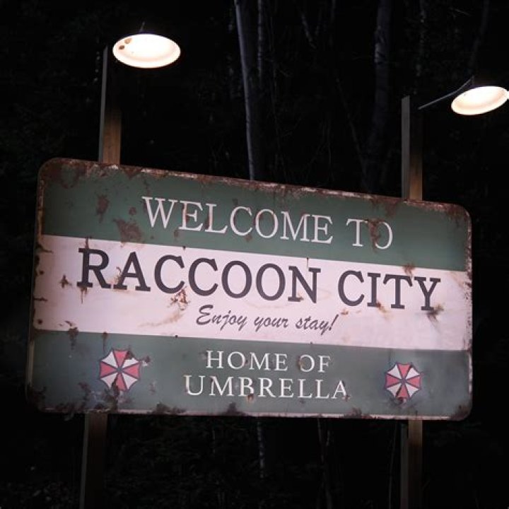 Welcome To Raccoon City Before