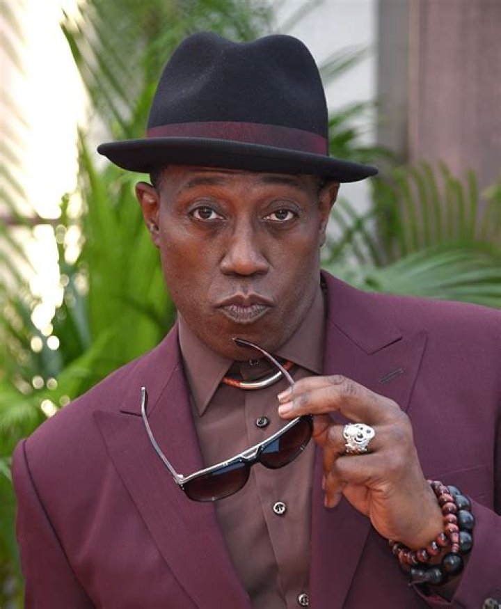 Wesley Snipes Net Worth: A Deep Dive Into The Wealth Of The Hollywood Star
