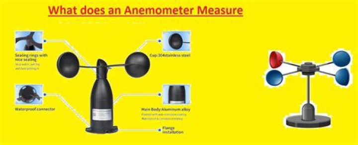 What does a thermo anemometer do