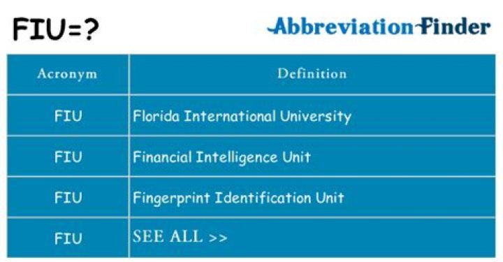 What does fiu mean slang