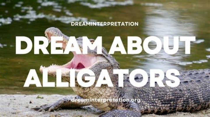 What Does It Mean When You Dream About Alligators? Experts Decode