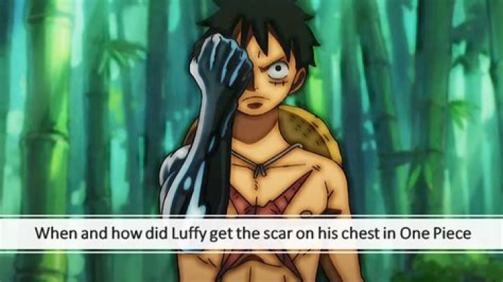 What Episode Did Luffy Meet Hancock? Monkey Meets Snake!